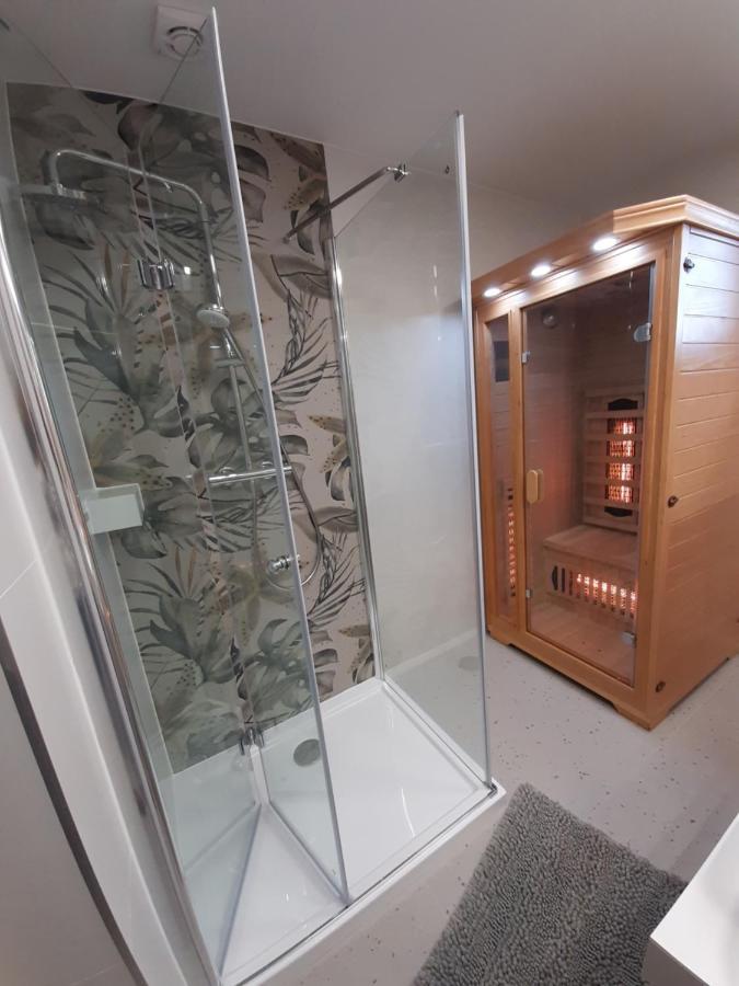 Willa Rosa-Apartamenty Z Prywatna Sauna Szklarska Poręba Εξωτερικό φωτογραφία